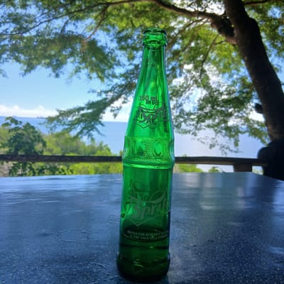 A single, empty, 350 ml green glass Sprite bottle is centrally positioned upright on a dark, textured tabletop, exhibiting water droplets and concentric ring marks. The bottle bears embossed "Sprite" branding and "BOTTLE FOR BEVERAGE USE ONLY © THE COCA-COLA COMPANY" text. A dark wooden railing extends horizontally behind the table, separating the foreground from a panoramic coastal landscape. Beyond the railing, a dense, verdant canopy of trees and vegetation slopes down towards a calm body of blue water, identifiable as the Indian Ocean. Several large, indistinct vessels are visible on the distant horizon line of the water. Above, a clear blue sky with sparse white clouds is partially obscured by the overhanging leafy branches and a thick trunk of a large tree to the right. No people, actions, or interactions are visible in the scene. This setting is consistent with a scenic coastal establishment or viewpoint within the city of Tanga, Tanzania.