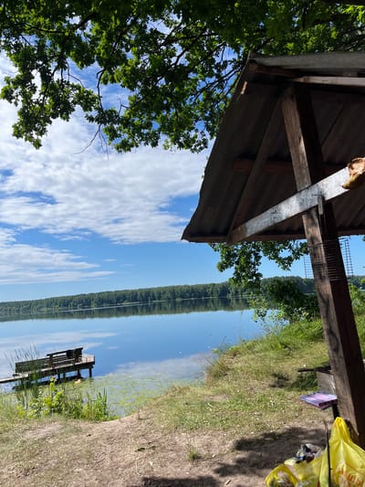 The image depicts an outdoor scene by a body of water, likely a lake or river. In the foreground, the edge of a wooden structure, possibly a shed or gazebo, is visible with its roof and supporting beams. Lush green trees with broad leaves, characteristic of oak trees, overhang from the left side of the frame, casting shadows. The sky is a bright blue with scattered white clouds.
The water's surface acts as a mirror, reflecting the treeline and sky, creating a symmetrical composition. A small wooden pier or jetty extends into the water from the right bank. The grassy bank on the right is dry and sandy in places, with patches of green grass and some sparse vegetation. Discarded yellow plastic bags are visible on the bank, suggesting recent human activity.
The scene appears to be set in a natural, rural environment. The time of day is likely midday or early afternoon, given the bright sunlight. The weather seems to be warm and sunny. While no people are actively present, the presence of the discarded bags and the picnic-like setup implies a leisure activity or outing. The overall mood is peaceful and serene, characterized by the calm water and natural beauty. No discernible text is visible in the image.