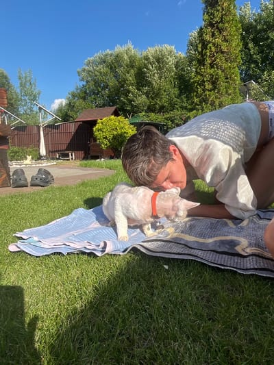 In the city of Veljaminovo, Russia, a person kneels on a lawn, embracing a white cat. The scene is set on a sunny day, with a bright blue sky visible above lush green trees and a brown wooden fence. A small wooden structure, possibly a shed, is situated behind the fence, along with some outdoor furniture. The person is wearing a light-colored shirt and shorts, while the cat wears an orange collar. A patterned blanket lies on the grass between the person and the cat, on which they are both resting. The overall atmosphere is one of peaceful interaction in a rural outdoor setting.