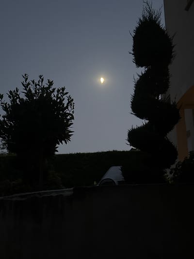 The image captures a dusky scene, likely taken at twilight, given the soft, diffused light illuminating the sky and the presence of a visible moon. Silhouetted against the muted sky are several dark, leafy trees and sculpted bushes. The most prominent tree in the foreground is a bushy specimen with a dense crown of leaves. Above it, a row of topiaried bushes are visible, their shapes somewhat obscured by the low light.

The sky itself is a pale gray, suggesting either the end of sunset or the beginning of dawn. A distinct, glowing orb, likely the moon, is visible in the upper left quadrant of the sky. There's a faint suggestion of a small, star-like light next to it, possibly another celestial body or a distant light source.

To the right of the frame, a tall, dark green hedge forms a backdrop, contrasting with the lighter sky. Part of a building, possibly a house with a yellowish facade, is visible at the very top left. A sliver of a white object, potentially a car or part of a vehicle, can be seen peeking out from behind the hedge on the right. The overall impression is one of a quiet, serene evening or morning in an outdoor setting, possibly a garden or residential area. The lack of sharp shadows and the diffused light create a calm and slightly mysterious atmosphere. No text is visible in the image.