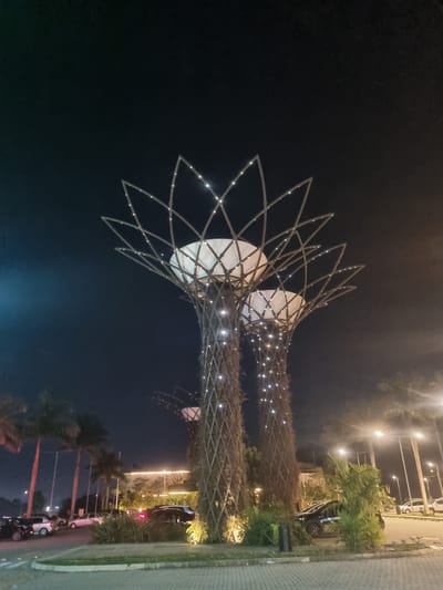 The image depicts two large, stylized tree-like structures illuminated at night, likely a public art installation or architectural feature. These structures are tall and slender, with a lattice-like framework adorned with numerous small, bright lights that form intricate patterns resembling petals at the top. The tops of the structures are capped with large, white, dome-like elements. The base of the structures appears to be covered in a textured material, possibly vine-like or woven.

In the background, a parking lot is visible, filled with parked cars of various makes and models. Streetlights and building lights illuminate the scene, casting a warm glow on the surroundings. Palm trees and other lush greenery are interspersed among the structures and in the background, suggesting a warm climate. The sky is dark, indicating nighttime.

The location is identified as the city of Araçariguama, Brazil. The overall impression is one of a well-lit, modern, and possibly recreational or commercial area designed to be visually appealing at night. There are no people visible in the immediate foreground or interacting with the structures.