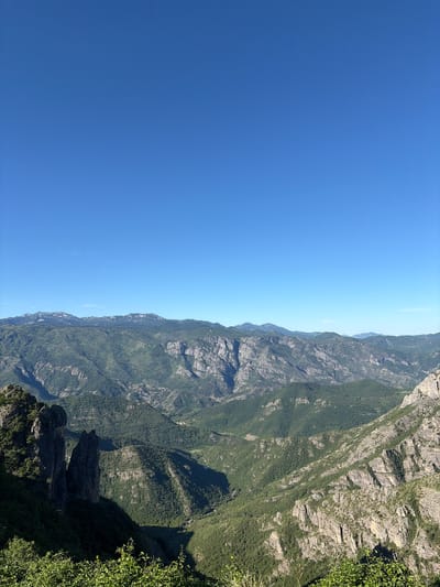 The image shows a vast, mountainous landscape under a clear blue sky. The foreground features lush green vegetation and the jagged, dark silhouettes of large rock formations. Beyond these, the scene unfolds into a series of rolling, densely forested mountainsides interspersed with sheer, rocky cliffs and deep ravines. In the distance, the peaks of further mountain ranges are visible, some with snow-capped summits. The terrain suggests a rugged, natural environment, likely within the city of Kućišta, Montenegro, known for its dramatic mountain scenery. There are no people or man-made objects clearly discernible in the image, emphasizing the wild and expansive nature of the location.