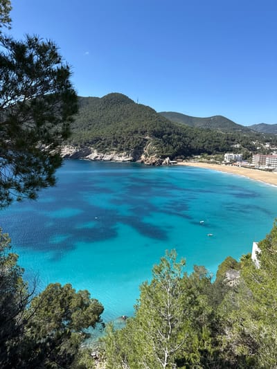 An elevated panoramic view captures Cala De Sant Vicent, Spain, under a clear, bright blue sky with one small, high-altitude white cloud. The central feature is a large bay with exceptionally clear water, displaying a gradient from deep blue in the deeper sections to vibrant turquoise closer to the shore and over shallower areas, revealing dark, irregular patches of submerged features. Three small, light-colored recreational boats or rafts are observed on the water's surface, two closer to the right and one further left. A single indistinct dark shape, possibly a swimmer, is visible in the lighter turquoise water. The bay is framed by steep, heavily forested hills covered in dense green pine trees. On the left and curving towards the center, the hills form rocky cliffs descending to the water. On the right, a long, light-colored sandy beach arcs along the base of the hills, backed by multiple multi-story white buildings, likely hotels or apartments, some with visible orange-tiled roofs. Further up the hills to the right, scattered white structures are visible amidst the greenery. A prominent hill in the upper-center displays a vertical antenna or mast structure near its peak. The foreground on the left and bottom is partially obscured by the foliage of pine trees and other green vegetation, including some visible light-colored rocks near the lower left. The scene is brightly lit by direct sunlight. No clearly identifiable individuals or specific actions are discernible.