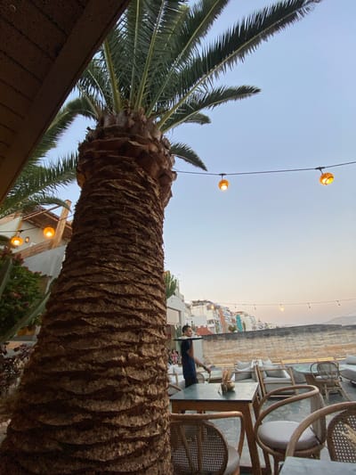 A man carries a tray in a rooftop restaurant in Taghazout, Morocco. The man, wearing a dark blue t-shirt and dark pants, is walking from left to right across the frame, his head turned to the right. He is in the mid-ground, with a large palm tree trunk dominating the left side of the foreground. Behind him, outdoor seating areas with tables and chairs are visible, as well as buildings in the background. String lights with orange bulbs are hung across the scene. The sky is a pale blue, suggesting it is either early morning or late afternoon. The architecture in the background appears to be of Mediterranean influence.