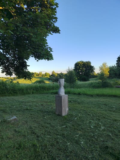 The image depicts an outdoor scene with a clear blue sky and lush green vegetation. In the foreground, a stone sculpture of a human head on a concrete pedestal stands on a mowed lawn. The sculpture is abstract, with simplified features. To the left of the sculpture, a large tree with dark green leaves overhangs the lawn, its branches catching the sunlight.
The midground features a field of tall grass and wildflowers, dotted with various shrubs and trees. The vegetation is dense and varied, suggesting a natural or semi-wild environment. In the background, a line of trees forms a horizon, beyond which the sky is visible. The lighting suggests it is either early morning or late afternoon, with the sun casting long shadows and illuminating the landscape. The overall mood is serene and peaceful, with a sense of quietude and natural beauty.
The location is identified as Лынтупскі сельскі Савет, Belarus, implying a rural setting within this region. There are no visible people or specific events taking place, making it a still-life image of a cultivated outdoor space with artistic elements. The mowed grass indicates recent maintenance, contrasting with the wilder appearance of the distant fields. The weather appears clear and pleasant.