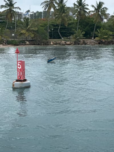 In the foreground of the image, a red buoy with the number "5" prominently displayed in white floats in the water. The buoy is cylindrical with a conical top and appears to be anchored. In the middle ground, a small, overturned blue boat is visible in the water, partially submerged. The background depicts a shoreline with palm trees and lush green vegetation. In the distance, buildings and structures can be seen, possibly indicating a coastal town or city. The water is choppy, with ripples and small waves. The sky is overcast, suggesting cloudy weather. The scene is likely a view of a harbor or coastal area.