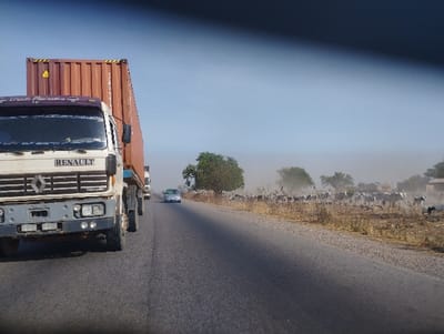 The image shows a white Renault truck hauling a large, brown cargo container. The truck is traveling on a paved, two-lane road. The image was taken in the city of Lakweme, Nigeria, at the coordinates 9.724 latitude and 11.407 longitude. The truck is traveling on a straight stretch of road and is in the left lane. There is a smaller, dark-colored car ahead of the truck, driving in the right lane. The truck appears to be traveling on a rural road, as there are grasslands and trees visible on the sides of the road. It appears to be a dusty day, as the truck is kicking up dirt as it drives. There is a herd of cattle in the distance, at the edge of the grasslands. The cattle are mostly white with some black markings and are walking along the edge of the road. There is a small cluster of trees near the cattle. The sky is light blue and the sun is shining. There is a thin layer of haze in the sky. The environment is primarily grasslands, trees, and paved roads, suggesting a rural location.