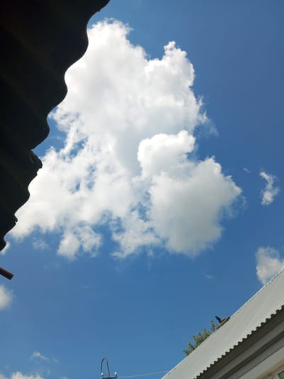 The image captures a skyward view with a bright blue sky punctuated by fluffy white clouds. In the foreground, the corrugated metal roof of a building extends from the bottom right corner, leading upwards and to the right. A dark, wavy object, possibly another roof or overhang, is silhouetted against the sky on the left side of the image. A thin, dark pipe extends horizontally from the left edge into the frame. In the distance, the tops of green trees are visible above the corrugated roof. The overall impression is that of a sunny day, likely in a suburban or rural area, given the presence of simple building materials and natural elements.