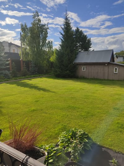 This is a vertical, outdoor, daytime photograph of a residential property in Veshki, Russia. The scene is dominated by a lush green lawn that stretches across the majority of the frame, dappled with sunlight and shadows. To the left of the lawn is a long, wooden building with a corrugated metal roof. Two small, rectangular windows are visible on the side of the building, one with a decorative arched frame. Adjacent to the building is a tall, evergreen tree, and further to the left, a cluster of deciduous trees with vibrant green foliage. In the background, parts of other houses and trees are visible. The sky above is a bright blue, adorned with scattered, wispy white clouds. In the foreground, to the right, a portion of a white planter box is visible, containing a dried, reddish-brown ornamental grass and some larger green plants with broad leaves. The overall impression is one of a peaceful, well-maintained rural or suburban setting on a sunny day. There is no visible text in the image.