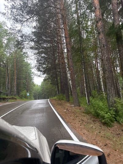 A wet, asphalt road curves through a forest of tall, slender trees, predominantly pines and birches. The road is marked with white lines and glistens with rain. On the left side of the road, a bus stop sign with a blue and white graphic is visible amongst the trees. The surrounding forest floor is covered with pine needles and cones. In the foreground, a silver car is driving on the road, with its hood and side mirror visible in the shot. The sky is overcast, contributing to the damp and muted atmosphere of the scene, likely located in or near Savvateevka, Russia.