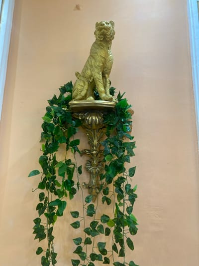 A golden statue of a tiger is mounted on a decorative wall bracket, adorned with green ivy. The bracket is made of ornate, gilded metal, resembling a stylized flower. The ivy cascades down the wall, creating a verdant contrast against the pale peach-colored wall. The scene is located in Buea, Cameroon, at the coordinates 4.145 latitude and 9.23 longitude.