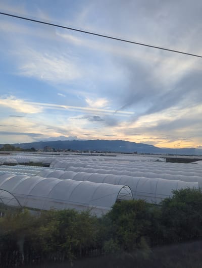 The image shows a wide view of numerous white, arched greenhouses in a rural area, likely on the outskirts of Mengzi City, China. The greenhouses are covered with translucent material and are arranged in neat rows, stretching into the distance. In the background, a range of mountains forms the horizon, with some buildings and structures visible between the greenhouses and the mountains. The sky above is a mixture of blue and clouds, with soft, diffused light suggesting either early morning or late afternoon. A dark, thin horizontal line, possibly a wire or cable, is visible across the upper part of the image. Green foliage, likely bushes or trees, borders the foreground, partially obscuring the lower portion of the greenhouses. The scene conveys a sense of agricultural activity and a vast, open landscape under a dynamic sky.