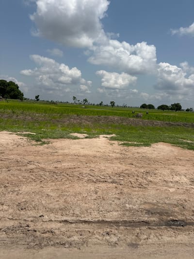 The image depicts a rural landscape in Garin Dogo, Nigeria, under a partly cloudy sky. The foreground is dominated by a dry, sandy dirt road with tire tracks visible. Beyond the road, a strip of green grass and vegetation leads to a vast, cultivated field of bright green crops, possibly rice or corn, stretching towards the horizon. A line of scattered trees dots the middle ground, with larger, more mature trees forming a denser cluster on the far left of the frame, near a small, traditional structure. In the middle distance of the field, two figures appear to be working, with a pile of bricks or building materials nearby. The overall scene conveys a sense of agricultural activity in a serene, natural setting.