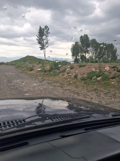 This is a vertically oriented, low-angle, handheld media file, likely a photo or video, taken from inside a vehicle looking out through a rain-streaked windshield. The scene depicts a rural, hilly landscape with a dirt road winding upwards.

The primary subjects are the natural elements of the environment. On the left side of the frame, a cluster of trees with dense foliage is visible, some reaching towards the sky. Further down the hill, a solitary, sparser tree stands against the cloudy sky. The terrain is a mix of dry, rocky soil and patches of green grass and smaller plants, suggesting an arid or semi-arid climate. The road itself appears to be made of gravel and dirt, with stones scattered across its surface.

A significant detail is the presence of water droplets on the windshield, obscuring parts of the view and creating a distorted, bokeh effect. These droplets, along with the overcast sky filled with heavy clouds, indicate that it is raining or has recently rained. The light suggests it is daytime, possibly late afternoon or early morning, given the soft, diffused sunlight trying to break through the clouds, particularly visible behind the cluster of trees.

The reflection on the windshield also adds to the visual narrative. It shows a distorted image of the landscape, including trees and the sky, and the interior of the car, specifically the dashboard and possibly the hood of the vehicle. The dark, reflective surface of the dashboard occupies the right side of the frame, framing the view.

There is no visible text in the media file. The overall mood is somewhat somber due to the weather, but the natural beauty of the landscape, with its rolling hills and hardy vegetation, provides a sense of resilience and peacefulness. The location context of Martiros, Armenia, suggests a mountainous or highland region, which is consistent with the terrain depicted. The activity is a journey through this landscape, observed from the confines of a vehicle.