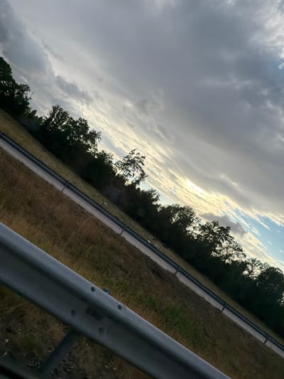 The image depicts a tilted view of a roadside area with a highway and grassy embankment. A metal guardrail is prominent in the foreground, extending diagonally across the frame. The embankment is covered with dry, light brown grass, interspersed with patches of green vegetation. A paved road, appearing to be a highway with multiple lanes delineated by white lines and a dark stripe, runs parallel to the embankment. On the other side of the road, a line of dark green trees forms a dense backdrop. The sky is filled with dramatic, heavy clouds that appear to be breaking in places, allowing shafts of sunlight to pierce through, creating a high contrast between light and dark areas. In the distance, on the side of the road, a few dark-colored animals, possibly cows, are visible grazing on the embankment. The scene is captured from a low angle, suggesting it was taken from a vehicle or near ground level.