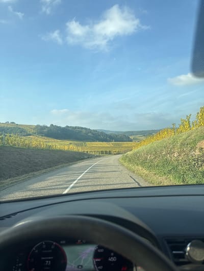 The image depicts a first-person perspective from inside a moving vehicle on a paved road through a vineyard landscape in Blienschwiller, France. The foreground shows the top of a vehicle's dashboard, the steering wheel's upper rim, and a digital instrument cluster. The speedometer reads 71 km/h, and other digital displays show "450" and "62," with a small map visible. A metallic, circular object is mounted on the passenger side of the dashboard.
The asphalt road, marked with a single solid white line, curves gently to the left and recedes into the distance. Long, thin shadows, possibly from unseen roadside elements, stretch diagonally across the road from left to right. On both sides of the road, sloped terrain is covered in rows of grapevines displaying vibrant yellow and gold autumnal foliage. Beyond the vineyards, rolling hills covered with dense green and yellow trees extend towards the horizon. The sky overhead is clear blue with scattered white cumulus clouds. No people, animals, or other vehicles are visible in the external scene. The lighting suggests bright daylight, possibly morning or late afternoon, given the length of the shadows.