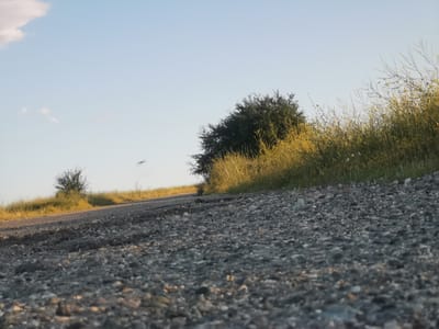 The image captures a low-angle view of a gravel road winding through a rural landscape. The foreground is dominated by the textured surface of the road, composed of various sizes of grey and brown stones. To the right, tall, dry grasses and small yellow wildflowers line the roadside, bathed in the warm light of what appears to be late afternoon or early morning. In the middle ground, a dense, dark green bush stands prominently. Further in the distance, the road curves out of view, flanked by more dry grasses and a solitary, smaller bush on the left. The sky is a clear, pale blue with a few wispy white clouds on the left side. There are no people or visible animals in the frame. The scene suggests a natural, undeveloped environment. The provided location of Kubina, Russia, does not appear to be directly verifiable from the visual content of the image alone, as the image does not contain any geographically specific landmarks or text.