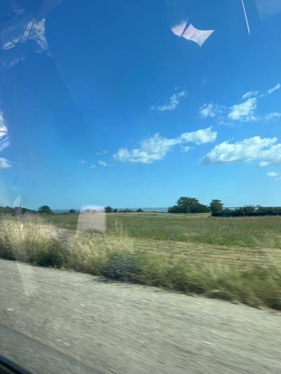 The image depicts a rural landscape under a bright blue sky with scattered white clouds, taken from a moving vehicle, as indicated by motion blur in the foreground. The scene is characterized by a field of tall, dry grass and some scattered blue wildflowers. In the middle ground, there is a treeline and a body of water, possibly a river or sea, in the distance. The foreground shows a blurry texture of a road or ground surface. There are no people or specific man-made structures visible in detail, suggesting an open, natural environment. The location is identified as Kurchanskaya, Russia.