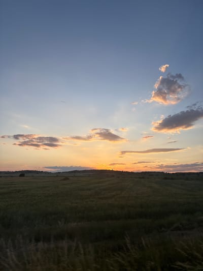 This image depicts a rural landscape at sunset in the vicinity of Svoboda, Bulgaria. The sky transitions from a clear, pale blue at the top to vibrant hues of orange, yellow, and pink near the horizon, indicative of the setting sun. The sun itself is visible as an intense, bright orange-yellow glow on the horizon, positioned slightly to the left of the frame's vertical center. Scattered clouds are present across the sky; those higher up and further from the sun appear darker and more shadowed, while clouds closer to the horizon are illuminated from below, displaying warm orange and pink tones. Some clouds exhibit cumuliform structures, while others are more diffuse and stratiform.
The midground and foreground are dominated by expansive agricultural fields, appearing dark green to deep brown due to the low light conditions of dusk. The fields show subtle texture and potential rows, suggesting cultivated crops such as wheat or barley. A distinct horizon line of distant, low-lying hills or dense tree lines forms a dark silhouette against the brighter sky. No explicit structures, roads, or signs of human habitation are clearly discernible within the visible landscape. The very bottom of the foreground features blurred vegetation, possibly tall grasses or weeds, suggesting either a close-up perspective or slight motion blur. No individuals or animals are present in the scene.