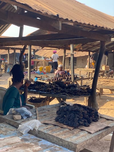 A bustling marketplace scene shows a woman in a green dress, seemingly working near a display of dried food. A vendor stands behind a table filled with items for sale. Other individuals mill about. The setting includes rudimentary structures with corrugated metal roofs, suggesting a local or less developed market. The overall view is from an elevated, slightly angled perspective.