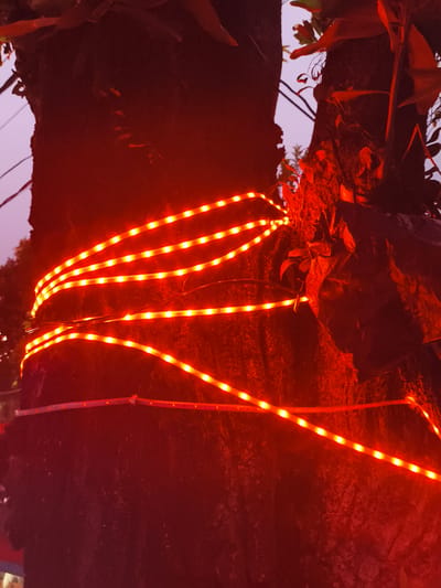 The vertical image shows a tree trunk illuminated by several strands of red LED strip lights, suggesting dusk or nighttime. The dark, textured bark of the tree is wrapped horizontally by these lights, which emit a vibrant orange-red glow, creating bright points along their length. The intense red illumination bathes the tree, giving it a reddish hue. On the right side and towards the top of the trunk, some foliage or epiphytic plants are visible, appearing darker against the bright lights. In the background, a faint, lighter purplish sky can be seen through the gaps in the tree structure, with indistinct outlines of other natural elements. The presence of the lights indicates a decorative or festive setting. There are no people, specific activities, or visible text in the frame.