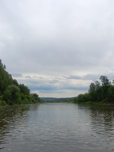 The image depicts a wide, calm river flowing through a lush, green valley under a cloudy sky. The riverbanks are densely forested with a variety of trees, including deciduous and coniferous species. On the left side of the river, a steep, tree-covered slope rises prominently. The water surface shows gentle ripples, reflecting the overcast sky. In the distance, the river continues to wind through rolling hills, which are also covered in vegetation. The overall impression is one of a serene and natural landscape. The provided context states the location is in Yakhino, Russia, suggesting this scene is likely within that area. No people or specific man-made structures are clearly visible, apart from what might be distant utility poles on the far bank.