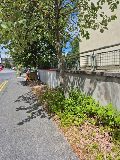 The image captures a sunlit street scene in Central Park, Ireland. In the foreground, a paved footpath runs along the left side of the frame, bordered by a strip of grass and fallen leaves on the right. A tree with lush green foliage casts dappled shadows across the path. Beyond the grass strip, a low concrete wall is visible, topped with a metal railing. A building with a textured beige facade stands behind the railing. In the middle ground, a sign with yellow and red lettering reads "Welcome to the Bash Hotel." Several cars are parked in a lot to the left of the sign, and a person is walking in the distance. The sky is blue with some scattered clouds.