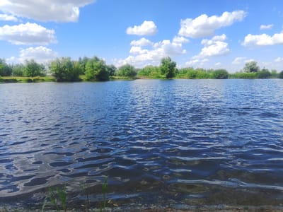 The image shows a wide, calm body of water with gentle ripples reflecting the blue sky and white clouds. On the far bank, a dense line of green trees and shrubs extends across the horizon under a bright, partly cloudy sky. The foreground shows the edge of the water with some sparse green grass and debris on the bank. The scene is tranquil and natural, with no signs of human activity or structures. This location is in the settlement of Орошаемый, Russia.