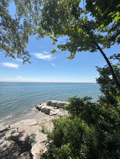 This media file depicts a serene natural scene overlooking a large body of water, likely a lake given the location context of Oakville, Canada. The perspective is from a vantage point within trees, looking out towards the water and sky.

The primary subjects are the natural elements: lush green foliage from trees frames the scene on the left and right sides, with branches extending towards the center. In the mid-ground, the expansive surface of the water stretches towards the horizon, appearing slightly rippled under what seems to be calm weather. The water's color is a muted blue-green, reflecting the sky. Along the right edge of the frame, a rocky shoreline transitions from the water's edge upwards, with large, grey stones forming a natural embankment. Sparse green vegetation grows amongst the rocks.

The sky is a clear, bright blue, with a few wispy white clouds scattered across it, suggesting it is daytime, likely mid-morning or afternoon with good weather. The sunlight is bright, casting shadows on the rocks, indicating a sunny day. There are no people or specific objects present, focusing entirely on the natural landscape. The overall emotion conveyed is one of peace and tranquility, showcasing a beautiful natural environment. No text is visible in the media file.