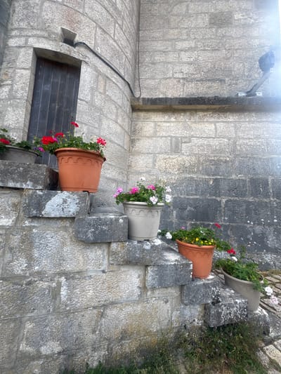 This image captures an outdoor scene at the Château de Grande-Rivière in France, focusing on a stone staircase and wall adorned with potted plants. The staircase, made of rough-hewn, grey stone blocks, leads up to a dark wooden door set into a curved stone wall. Several terracotta and light-colored planters filled with blooming flowers, predominantly red, pink, and white, are strategically placed on the steps and the ledge above. The stone wall, constructed from large, roughly finished blocks, shows signs of weathering and age, with patches of discoloration and moss. The lighting suggests it is daytime, with a bright glare on the upper right portion of the image, possibly indicating sunlight hitting a surface or a lens flare. Green foliage and small wildflowers grow at the base of the stairs, adding to the natural, slightly overgrown ambiance of the location.
