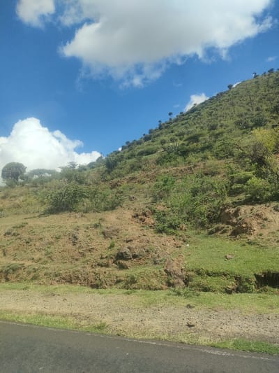 The image shows a sloping hillside in Kisima ward, Kenya, under a partly cloudy blue sky. The terrain is varied, with patches of green grass, bare brown soil, rocks, and scrub vegetation. Taller trees and cacti are sparsely distributed across the upper part of the hillside. A paved road with a grassy shoulder is visible in the foreground. No people are visible in the scene.