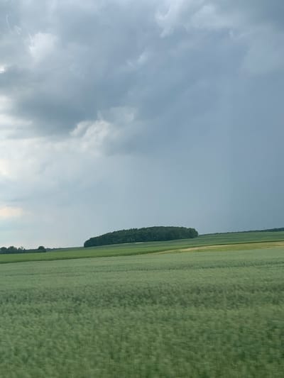 An overcast sky looms over a vast green field in Слабада-Кучынскі сельскі Савет, Belarus. The field appears to be planted with a crop, possibly wheat or barley, and shows signs of movement, suggesting it is either windy or the photo was taken from a moving vehicle. In the distance, a dense line of trees forms a dark green border against the lighter green of the fields, creating a stark contrast with the muted tones of the sky. The overall atmosphere is subdued, with the clouds casting a somber light on the landscape.