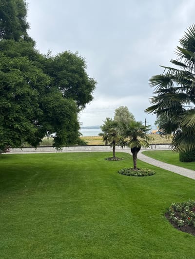 This is a vertical, eye-level, medium shot of a manicured lawn with a path and palm trees leading towards a body of water, likely Lake Constance, as seen from the grounds of the Seeburg Castle in Kreuzlingen, Switzerland. In the foreground, a vast expanse of vibrant green grass stretches across the scene. To the left, the dense, dark green foliage of a large deciduous tree dominates the upper portion of the frame, its branches extending downwards. A paved walkway, made of light-colored gravel, curves through the lawn from the middle right of the image. Two small palm trees are planted in circular beds of flowers along this path. The beds are filled with a mix of white and yellow flowers. Further into the distance, a low, light-colored stone wall separates the manicured lawn from a grassy area. Beyond the wall, tall reeds grow along the shore of a wide body of water. Across the water, a distant shoreline is visible with buildings and some trees. The sky above is overcast and grey. The overall scene depicts a tranquil, park-like setting.