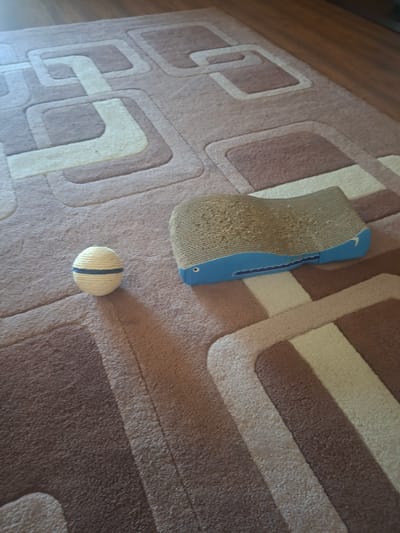 An overhead shot captures a close-up of a carpet with a geometric pattern in shades of brown and cream. To the left of the frame, a spherical cat toy made of white rope with a blue stripe sits on the carpet. To the right, a blue and beige cardboard cat scratching post, shaped like a fish, lies on the carpet. The environment appears to be indoors, possibly in a residential setting. There are no people or animals visible in the image. The lighting suggests it is daytime, with light casting a subtle shadow to the left of the ball.