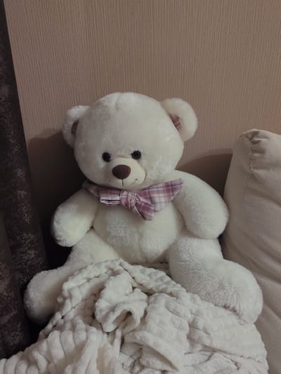 A plush white teddy bear with a pink and white checkered bow sits upright on a textured white blanket. The bear is positioned against a textured, light brown wall. To the right of the bear is a beige pillow. The scene appears to be indoors, possibly in a bedroom or living area. There are no people present, and no specific location in Ostafievo, Russia, can be identified from the visual information.
