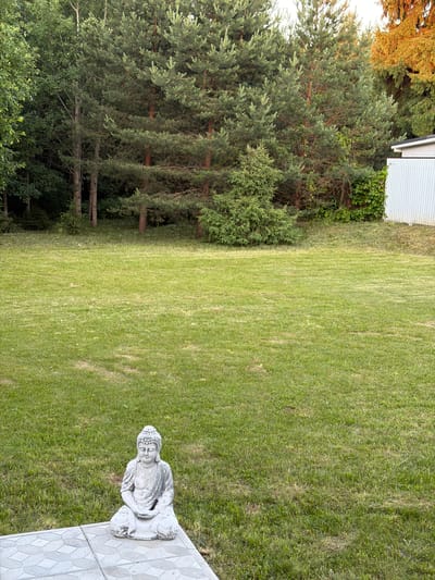 The image depicts a backyard scene in Алешкино Дп, Russia. A small, weathered stone statue of Buddha is positioned on a tiled patio in the foreground. The statue is seated in a meditative pose, with its hands resting in its lap. The patio itself is made of light-colored hexagonal tiles. Beyond the patio, a large expanse of mowed green grass dominates the middle ground. In the background, a dense line of tall pine trees and other deciduous trees forms a natural boundary. To the right, a section of a white corrugated metal structure, likely part of a shed or outbuilding, is visible. The overall impression is one of a serene, natural setting.