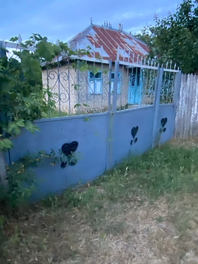 The image depicts a rural residential property in Horodca, Moldova. A light-colored house with a rusty, corrugated metal roof is visible behind a decorative wrought-iron fence. The house has two windows with light blue frames and a light blue door. In front of the house, there is a grey metal gate with several black heart-shaped designs painted on it. A wooden fence runs along the right side of the property. Lush green foliage, likely from trees and vines, partially obscures the house and fence on the left side. The ground in front of the gate is covered in grass and dry vegetation. The sky is overcast and appears to be either dawn or dusk. There are no people or animals visible in the image.