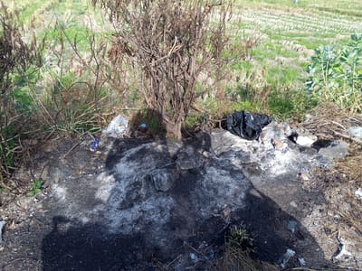 The image depicts an outdoor scene with a focus on a patch of ground that appears to have been burned. The ground is covered in ash and dark, charred debris. Scattered among the ashes are several rocks, a black garbage bag, and some plastic waste. Behind the burned area, dry, dead branches and vegetation are visible. In the background, there is green grass and a field that appears to be cultivated or has been recently harvested. The overall impression is one of neglect and potential environmental damage, possibly indicating an illegal bonfire or a wildfire in a rural or semi-rural setting near Uruekanoe, Indonesia.