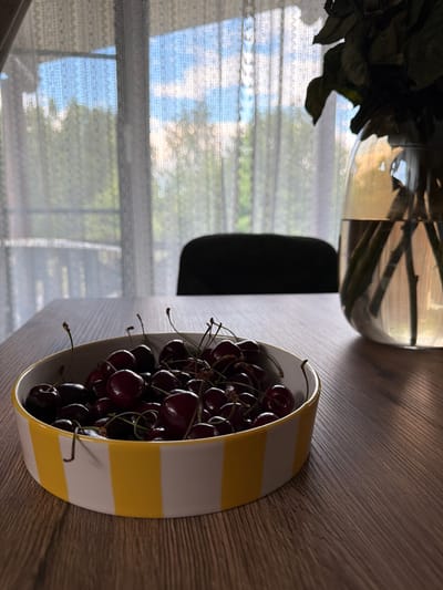 The image displays a close-up of a yellow and white striped bowl filled with ripe cherries. The bowl is placed on a wooden surface, and the lighting suggests it is daytime, with shadows casting diagonally across the wood. To the left of the bowl, a portion of a vase containing what appears to be dried flowers or leaves is visible. In the background, a sheer curtain is drawn over a window, allowing diffused sunlight to filter through, creating a soft, blurry effect of the outdoors, possibly trees and sky. The overall scene is still and domestic, likely an indoor setting in Shashmurka, Russia. There is no visible text in the image.
