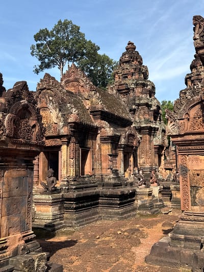 The image depicts a view of the Banteay Srei temple complex in Siem Reap, Cambodia, under a clear blue sky. The architecture is characterized by intricately carved red sandstone structures with tiered roofs and ornate decorative elements, including figures and mythical creatures. Several stone statues of seated figures are visible within the complex, positioned on pedestals. Vegetation, including a large tree with a full canopy, grows around and atop some of the structures, integrating nature with the ancient architecture. The ground is covered in reddish earth and rubble, suggesting a historical site. The lighting indicates a bright, sunny day, casting shadows that highlight the texture and depth of the carvings.