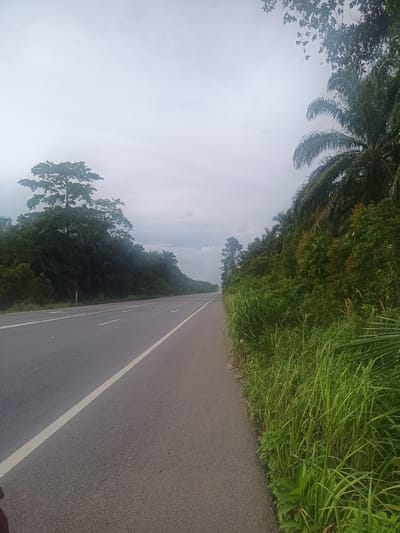 The image depicts a straight section of an asphalt road located near Ban Klang, Thailand. The road has a white line marking its edge. To the right of the road is a shoulder with tall grass and dense vegetation including palm trees. On the left side of the road, there's also a line of trees and foliage. The sky is overcast. No people are visible.