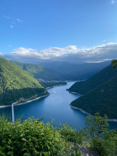 A breathtaking panoramic landscape captures a wide view of a deep blue lake or reservoir, likely Piva Lake, winding through a mountainous region in Plužine, Montenegro. The perspective is from a high vantage point, looking down into a vast valley carved by the water.
The sky, occupying the upper portion of the frame, is a vibrant clear blue, adorned with scattered white, fluffy cumulus clouds, with a larger bank of clouds massed on the left horizon. The bright light suggests a clear day, possibly late morning or early afternoon.
The main subject is the expansive body of water, which is a striking sapphire blue, reflecting the sky. It snakes through the rugged terrain, flanked by steep, densely forested mountains and hillsides covered in lush, dark green foliage. In the mid-ground, a small cluster of buildings with distinct reddish roofs forms a village or hamlet nestled on one of the verdant slopes, adding a touch of human presence to the otherwise natural grandeur.
A notable man-made object is a long, slender white structure, possibly a pedestrian walkway or a narrow bridge, that appears to follow the contour of the lake on the right side of the frame, extending towards the background. The foreground on the lower right is framed by vibrant green leaves and branches of bushes, indicating the photograph was taken from a natural overlook or cliff edge. No specific activities or individuals are discernible in the scene, and there is no visible text. The overall impression is one of majestic natural beauty and tranquility.