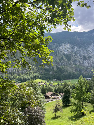 This is a vertical, eye-level, medium shot captured on a sunny day in Wengen, Switzerland. The foreground is dominated by lush green tree branches, some of which are in sharp focus and others that are blurred, with sunlight filtering through the leaves. These branches partially obscure the view of the scene beyond.
In the mid-ground, a small village is nestled in a valley. Several traditional Swiss chalets with brown roofs are visible, surrounded by vibrant green meadows. A road runs through the village, and a white van is parked on it. A few people can be seen walking along the road.
The background features a majestic, sheer grey rock face of a mountain. The mountain is covered in dense green coniferous trees that climb up its slopes. The top of the mountain is shrouded in a mix of clouds and sunlight, indicating fair weather. The overall impression is one of a serene and picturesque alpine landscape.