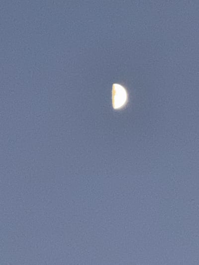 The image is a vertical, medium shot of the sky, with a pale blue-grey hue, suggesting twilight or an overcast day. In the upper right quadrant of the frame, a crescent moon is visible. The moon is illuminated on its right side, with the rest of its surface in shadow. The texture of the sky is slightly grainy, indicative of a photograph taken with a digital camera, possibly at a higher ISO setting or with a lower quality sensor. There is no discernible landscape or urban environment visible, only the expanse of the sky and the celestial body. There are no people, objects, or actions depicted in the scene. The image is static and lacks any narrative element. The specific location in Serebryakovka, Russia, is not evident from the visual information provided in the image.