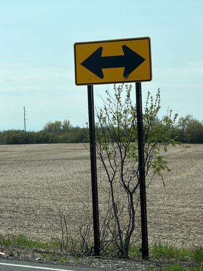 A bright yellow, rectangular road sign stands prominently in the center of the frame, featuring two bold black arrows: one pointing left and the other pointing right. The sign is mounted on two black, perforated metal posts. A young, leafy bush with fresh green foliage grows between and around the base of the signposts, partially obscuring the lower section of the posts.
In the immediate foreground, to the left of the sign, a section of asphalt road with a white painted line is visible. The ground surrounding the signposts is a mix of gravel, dirt, and sparse green grass, with some dry, thorny branches. Beyond this road margin lies a vast, flat agricultural field covered in light brown stubble or dried plant material, suggesting it's either after a harvest or prepared for a new planting season.
In the middle distance, a dense line of trees and bushes with green foliage forms a horizon line across the field. Further to the left, a tall wooden power pole with several power lines stretches across the mid-ground. The sky above is a clear, light blue with a few wispy white clouds, indicating a bright daytime setting. The overall scene suggests a rural or semi-rural landscape in Auburn, United States.