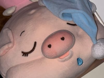 The image depicts a plush pig toy wearing a blue nightcap. The pig is light pink with a darker pink snout adorned with two heart-shaped nostrils. It has closed eyes with embroidered eyelashes. A single blue teardrop is embroidered below one eye. The location of the image in Herxheim, Germany is not discernible from the visual information.