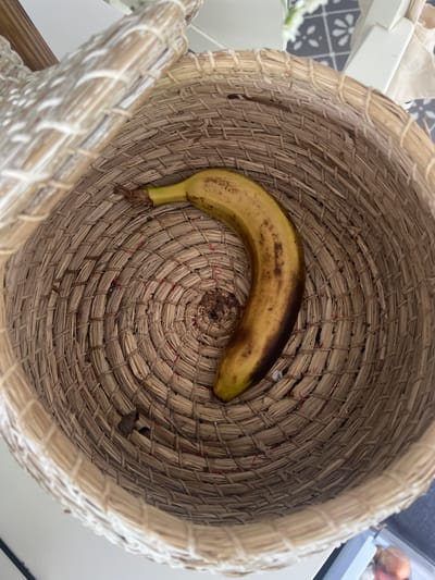 A single, slightly overripe banana is positioned in the center of a woven basket. The banana is yellow with brown spots. The basket is made of straw or reeds and has a textured, circular weave. The lid of the basket is partially open and visible on the left side of the frame. The background shows a patterned surface and parts of furniture, suggesting an indoor setting. There are no people visible in the image. The image is taken from a top-down perspective. This scene is not located in Kilpedder, Ireland, as no identifying information about the location is present in the image.