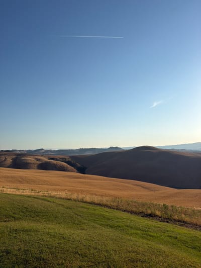 This image depicts a vast, rolling landscape under a clear blue sky with a faint contrail from an airplane. The foreground features a vibrant green field of grass, which slopes gently upwards and to the right. Beyond this, the terrain transitions into undulating hills covered in golden-brown vegetation, likely harvested wheat fields. The sunlight casts shadows, highlighting the contours of the land and creating a sense of depth. In the distance, more rolling hills are visible, fading into a hazy horizon. The scene is devoid of any people or man-made structures, except for the distant contrail, suggesting a natural and serene environment, characteristic of the Tuscan countryside near Asciano, Italy.