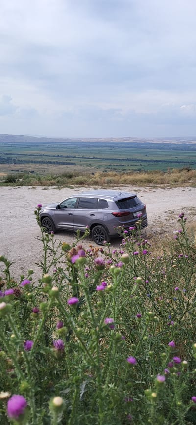 A grey Chery Tiggo 7 Pro is parked on a gravelly, elevated overlook. The car faces right, angled slightly towards the viewer, with its rear visible. In the foreground, wild purple thistles and green thorny plants bloom, partially obscuring the lower portion of the vehicle. Beyond the overlook, a vast, green valley unfolds, dotted with trees and bathed in the hazy light of an overcast sky. The distant landscape stretches to rolling hills under a pale blue sky with scattered clouds. The location is identified as Syrymbet, Kazakhstan.