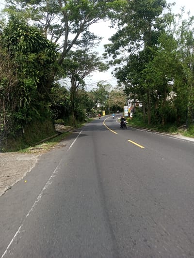 The image displays an asphalt road in Saing Ta Mawt Lay, Myanmar, viewed from a slightly elevated, forward-facing perspective. The road surface is dark grey with a faded continuous white line along the left edge and intermittent yellow lines marking the center. A steep, densely vegetated embankment featuring lush green foliage and a concrete drainage channel borders the road on the left. On the right, a line of tall, leafy trees forms a canopy, partially obscuring multiple vertical roadside signs in the mid-distance. The sky is overcast and light grey.
Four motorcycles are present on the road. A dark-colored motorcycle with a single rider in dark clothing is traveling towards the camera in the right lane. Three other motorcycles, one red and two light-colored, each with a single rider, are traveling away from the camera in the left lane. All motorcycles are in motion, maintaining distance from each other within the flow of traffic. No other individuals or vehicles are clearly visible.
